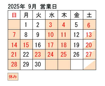 2025-9